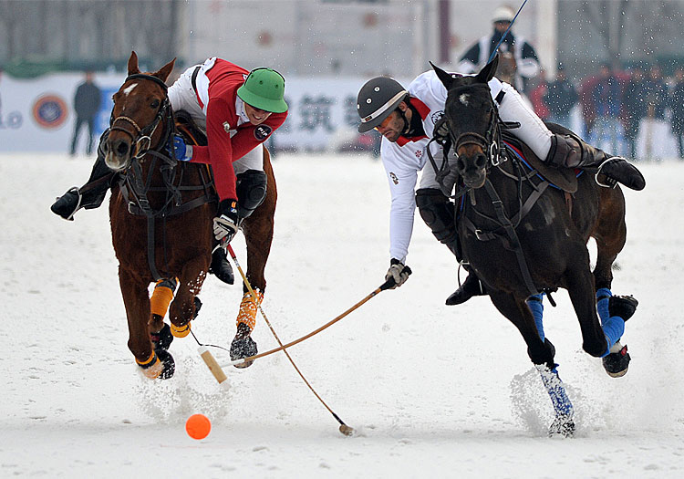 Images tagged "fortune-heights-snow-polo-world-cup"