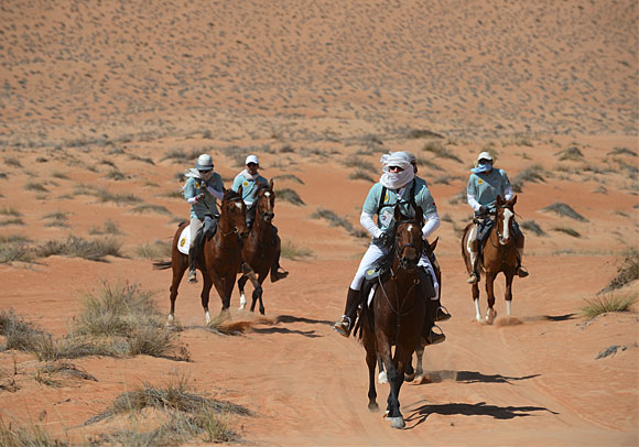Images tagged "gallops-of-oman"