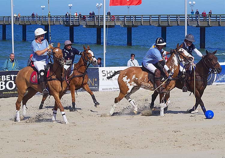 Images tagged "internationaler-chopard-beach-polo-cup-warnemuende"