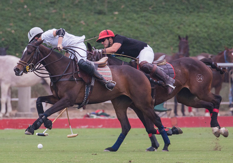 Images tagged "lima-polo-club"