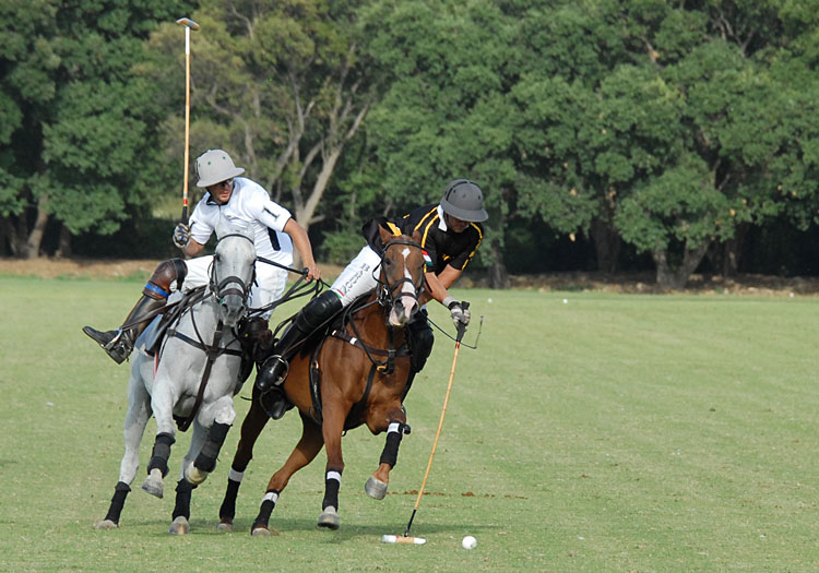Images tagged "argentario-polo-club"