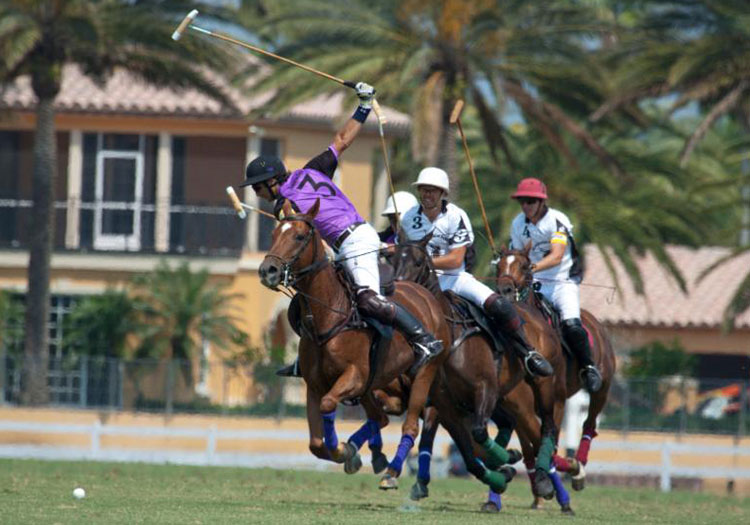Images tagged "grand-champions-polo-club"