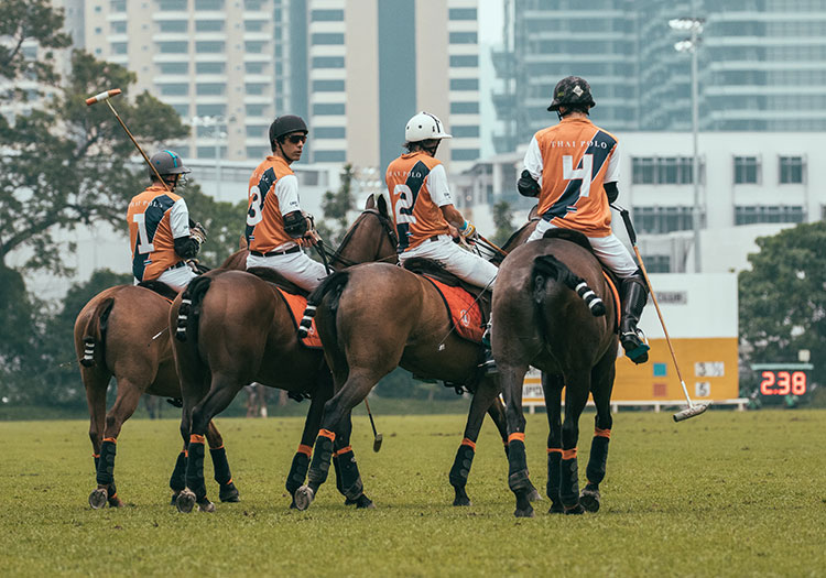 Images tagged "thai-polo"
